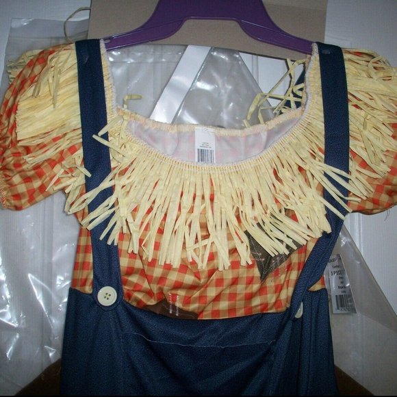 NWT Woman’s Cornfield Scarecrow Cutie Costume Sz. Small (4-6) - Picture 4 of 5